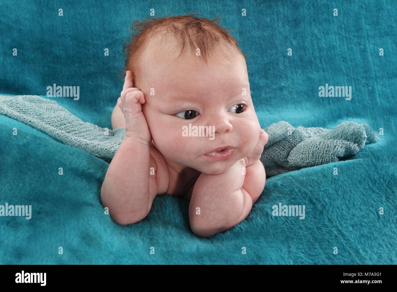 New Born Baby Boy relaxing in nursery Banque D'Images