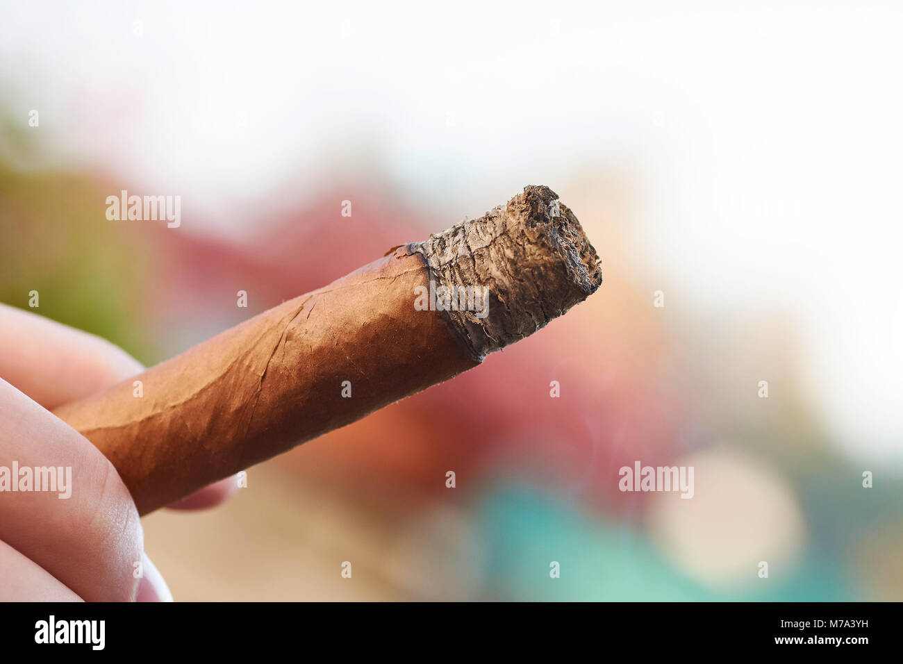 Une main tenant un cigare cubain de gravure avec un arrière-plan flou Banque D'Images