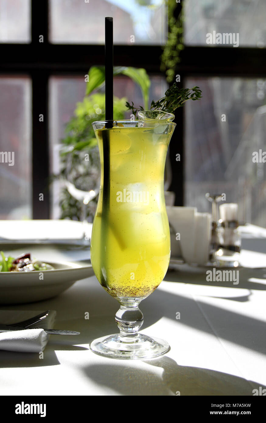Photo macro d'un délicieux cocktail au thym éclairée par le soleil dans un restaurant Banque D'Images