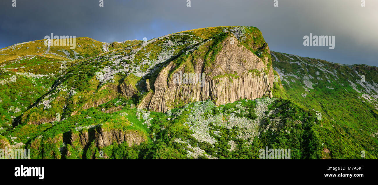 Rocha dos Bordões, une formation de roches volcaniques, Flores. Açores, Portugal Banque D'Images