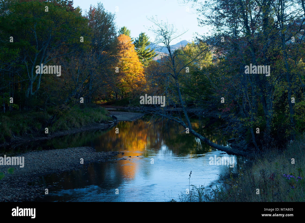 La rivière Ausable, Adirondack Forest Preserve, New York Banque D'Images