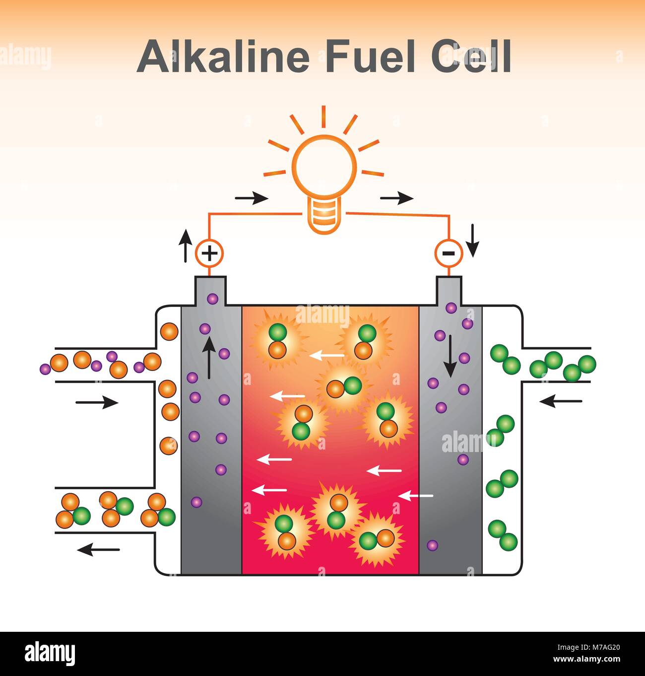 La structure de la pile à combustible alcaline. Conception graphique de vecteur. Illustration de Vecteur