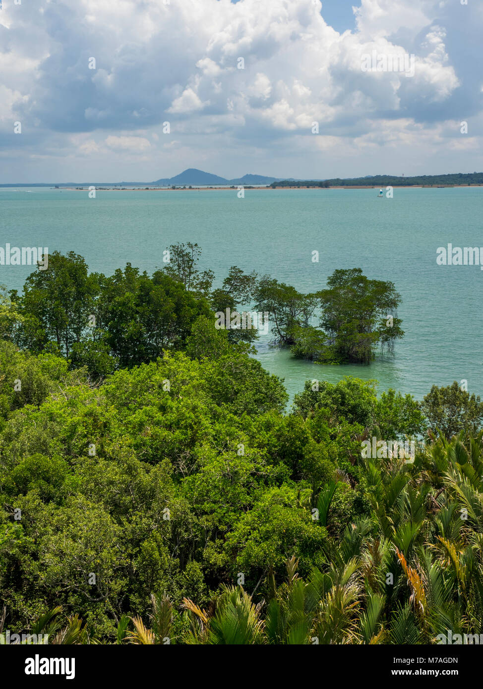 La vue des mangroves, la mer et l'île de périphériques de l'Jejawi Tour a tour d'observation populaire dans le Chek Jawa les zones humides, l'île de Pulau Ubin, Singapour. Banque D'Images