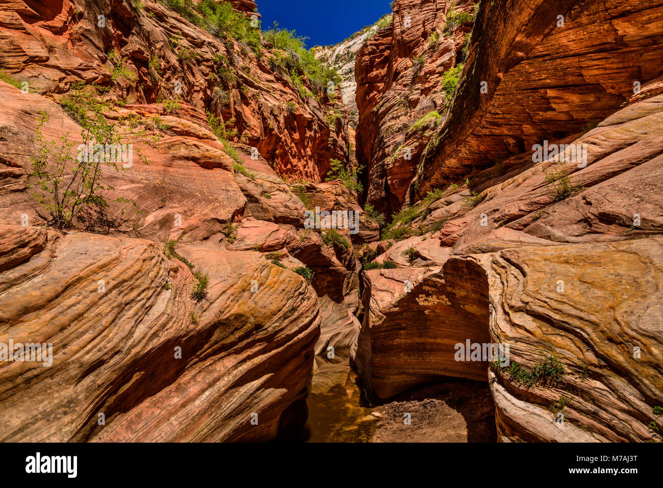 Les USA, Utah, Washington County, Springdale, Zion National Park, Zion Canyon, echo canyon, vue du point d'observation Trail Banque D'Images