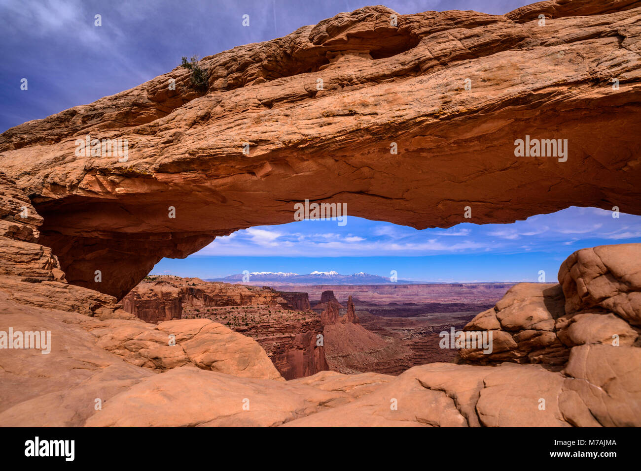 Les États-Unis, l'Utah, le comté de San Juan, Moab, Canyonlands National Park, Île dans le ciel, Mesa Arch vers les Montagnes La Sal Banque D'Images