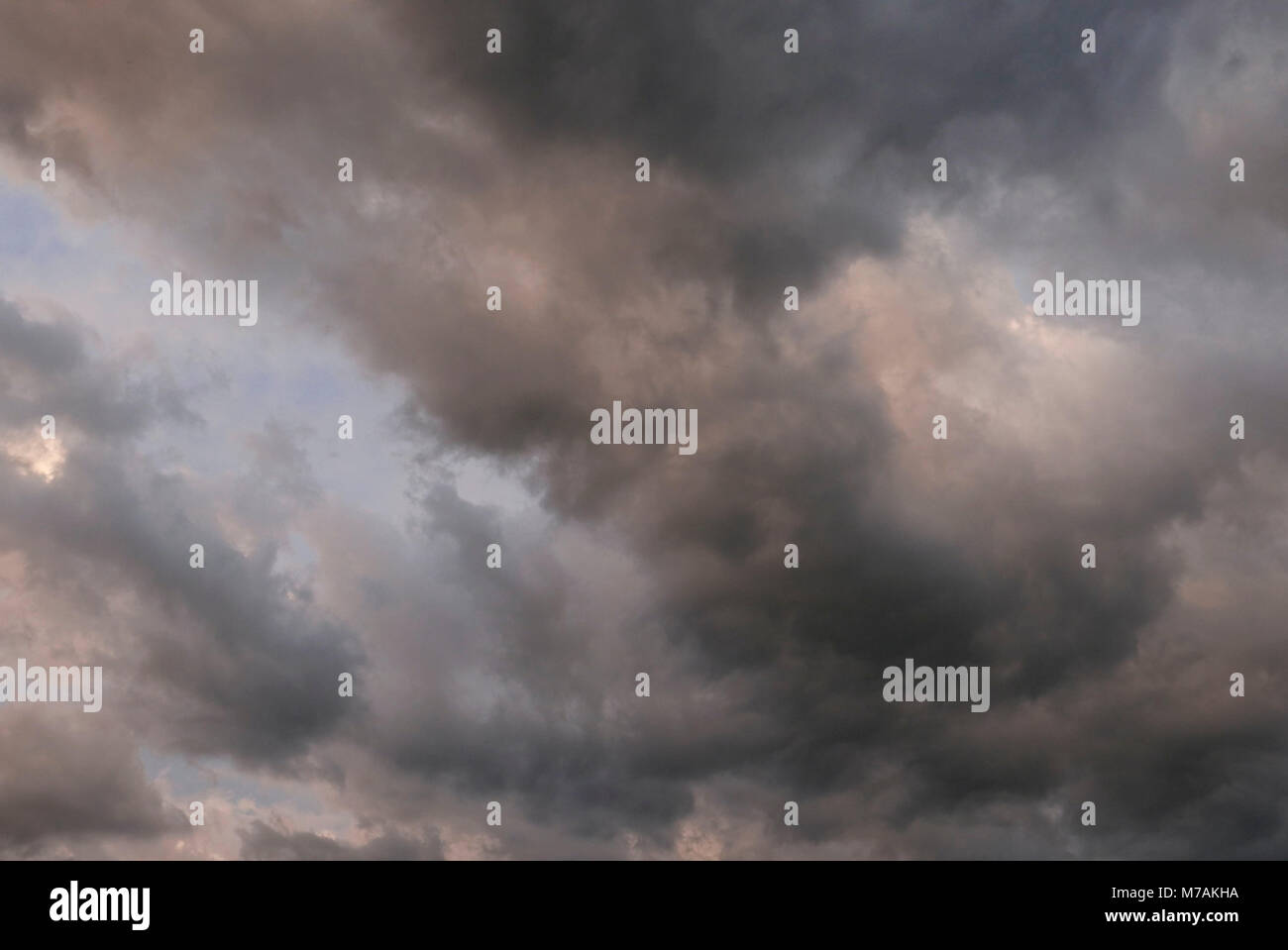 Nuages dans le soleil du soir Banque D'Images