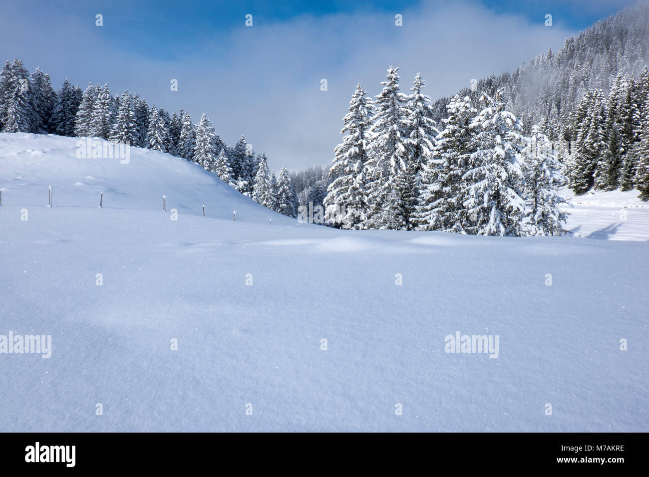 Winter Wonderland, Amden, Toggenburg, Suisse Banque D'Images