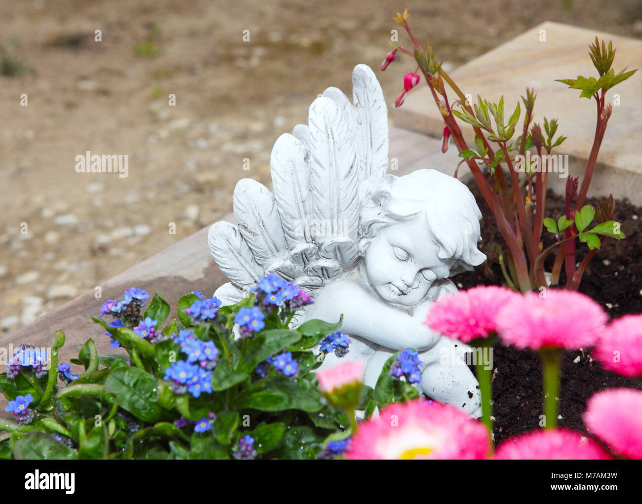 Angel tombe au printemps Banque D'Images