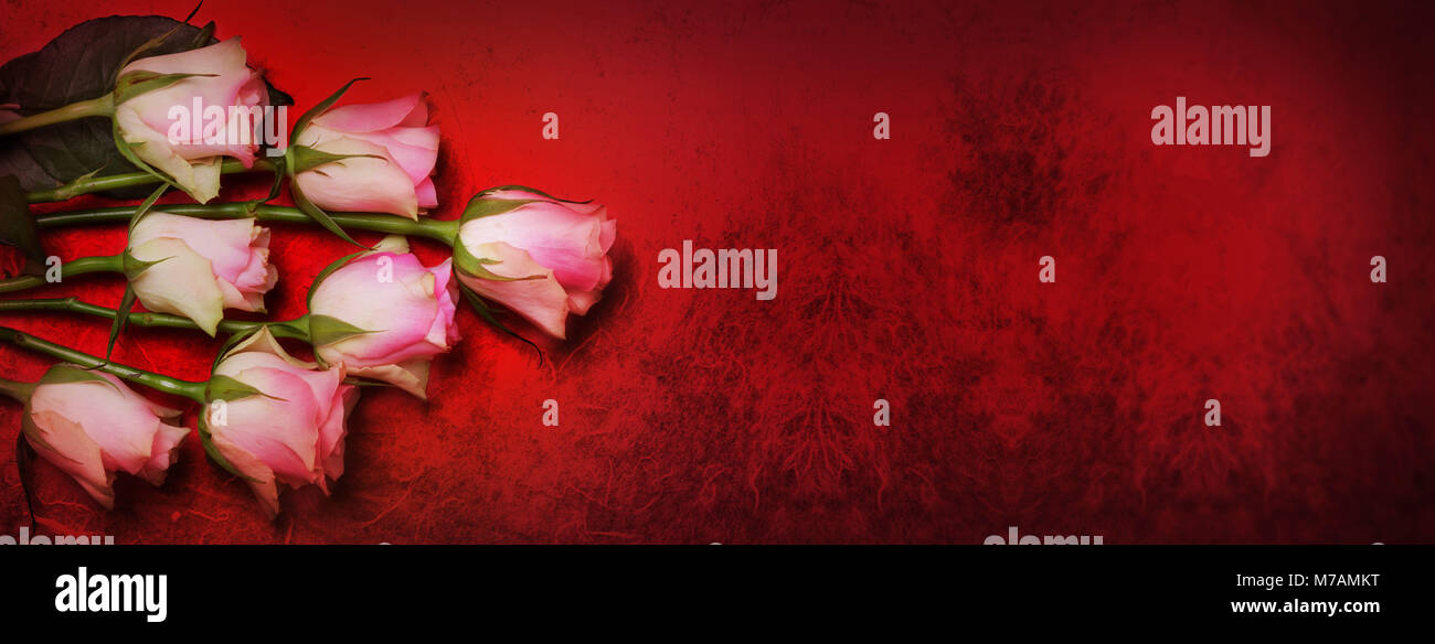 Roses, rouges, Effet Bokeh Banque D'Images