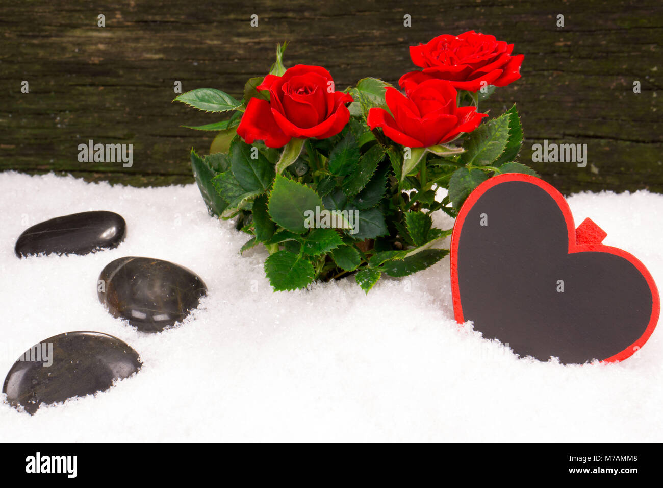 Roses et coeur pour la Saint-Valentin Banque D'Images