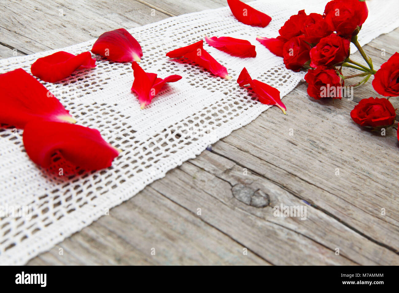 Roses sur bois Banque D'Images