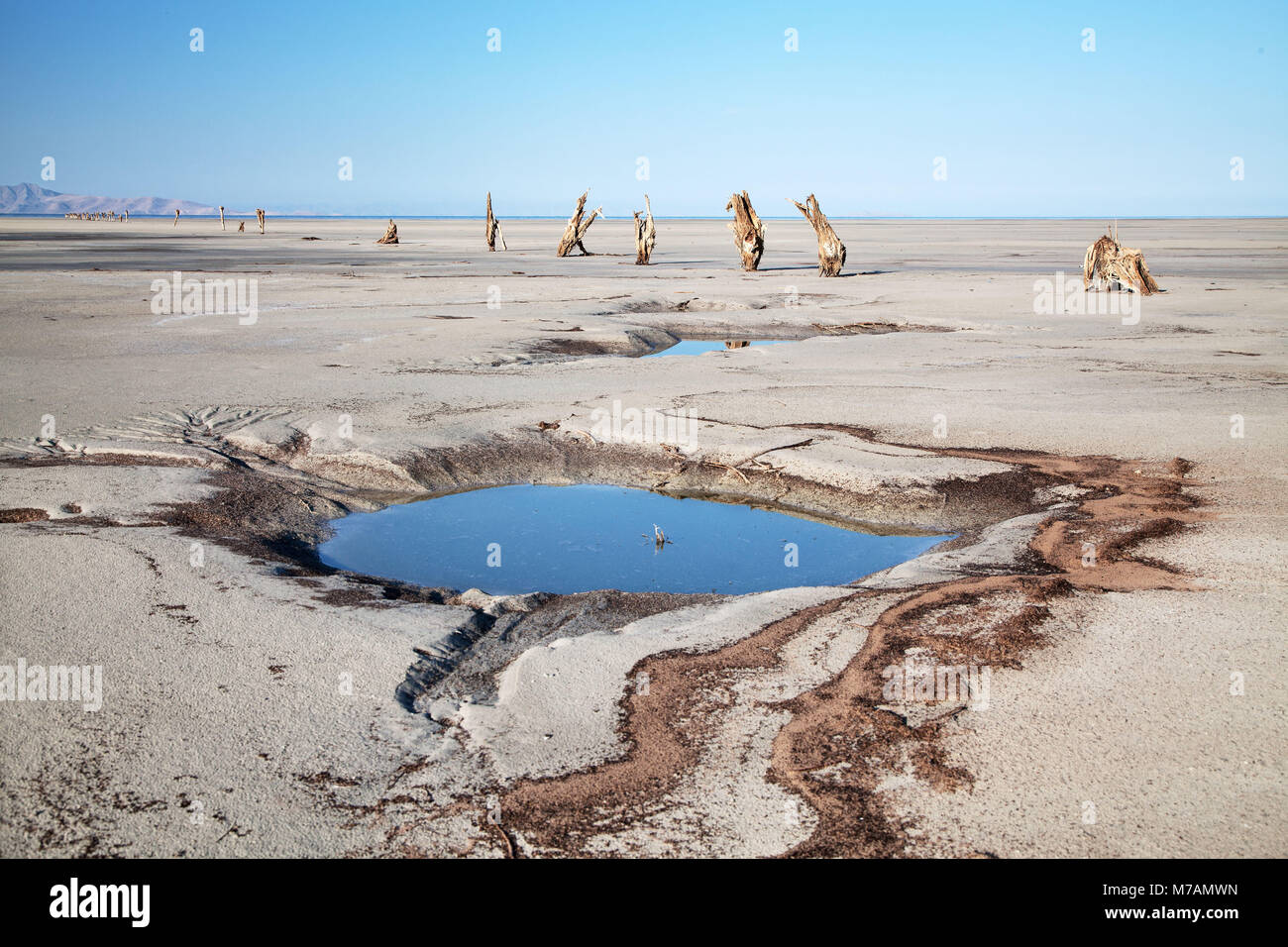 Plage, trou d'eau, l'Antilope Island, Grand Lac Salé, Utah, USA Banque D'Images