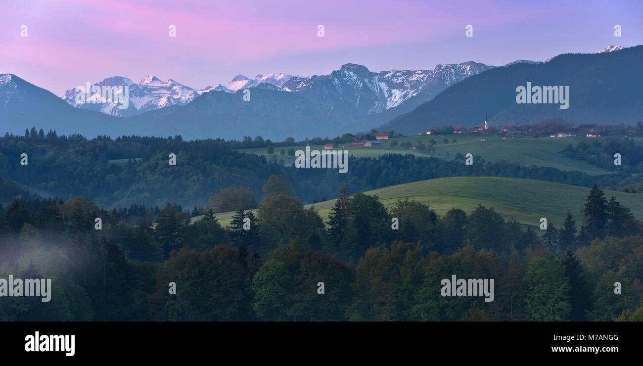 Région de l'Allgäu à l'aube, Bavière, Allemagne Banque D'Images