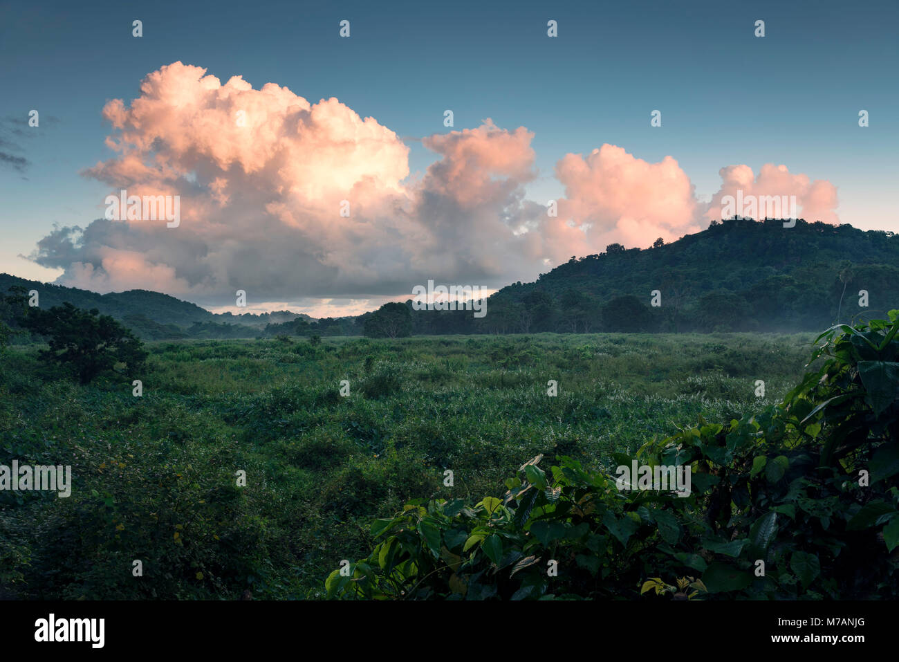 Collines et prairies matin ambiance avec red cloud sur l'île des Caraïbes Puerto Rico Banque D'Images