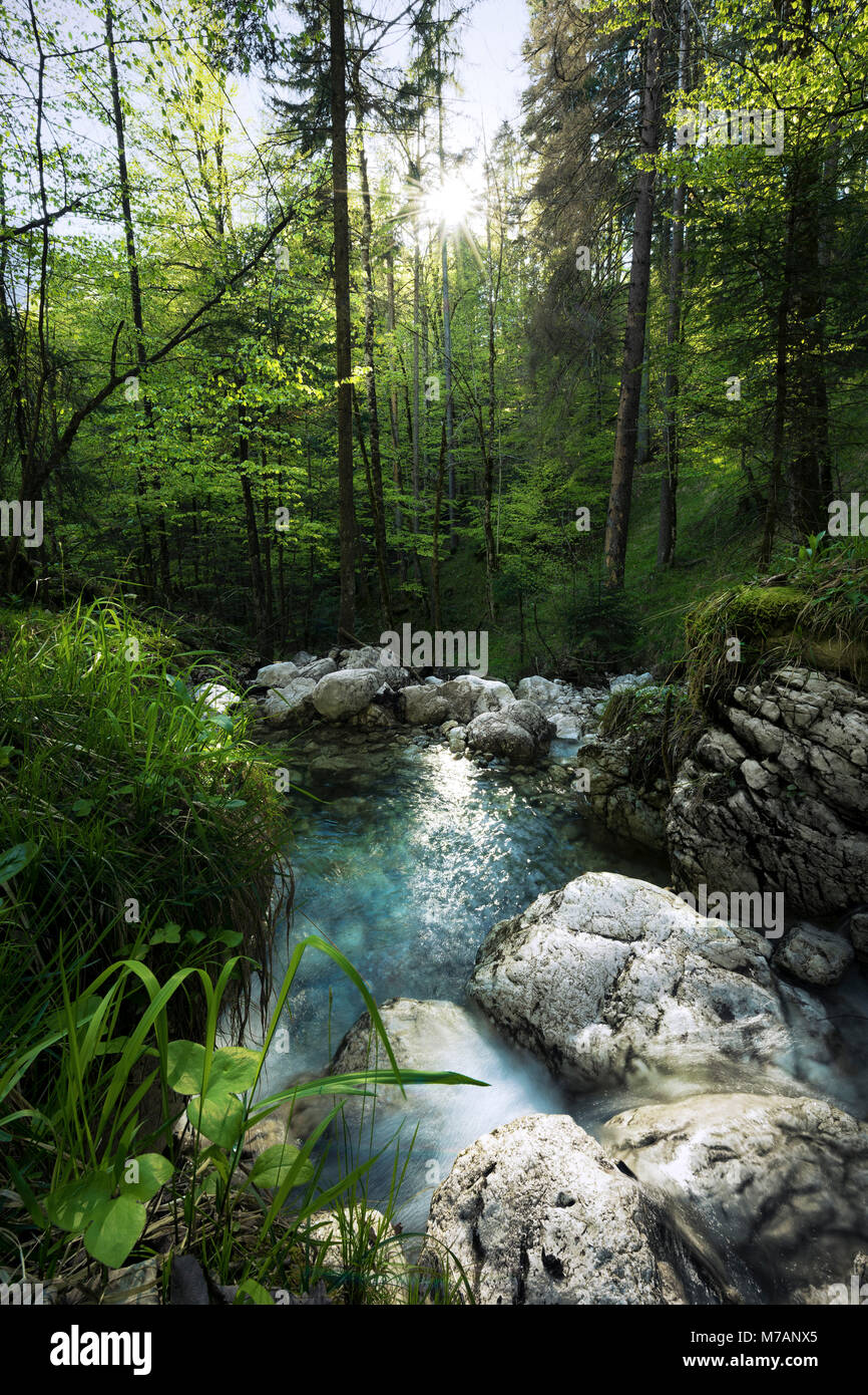 Dans le ruisseau Kaisertal (vallée), Tyrol, Autriche, Druadan Banque D'Images