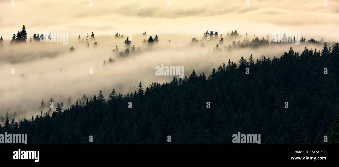Vue de Boubin (en allemand Kubany) dans la forêt de Bohême, République Tchèque Banque D'Images