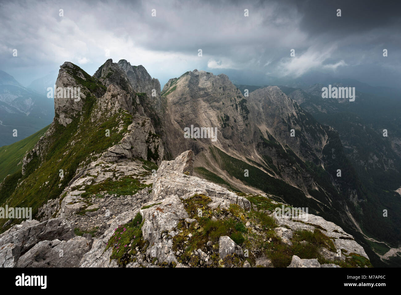 La crête de la montagne Monte avec Bucher près de Schloss Weikersdorf, parc national du Triglav, en Slovénie Banque D'Images La crête de la montagne Monte avec Bucher près de Schloss Weikersdorf, parc national du Triglav, en Slovénie Banque D'Images