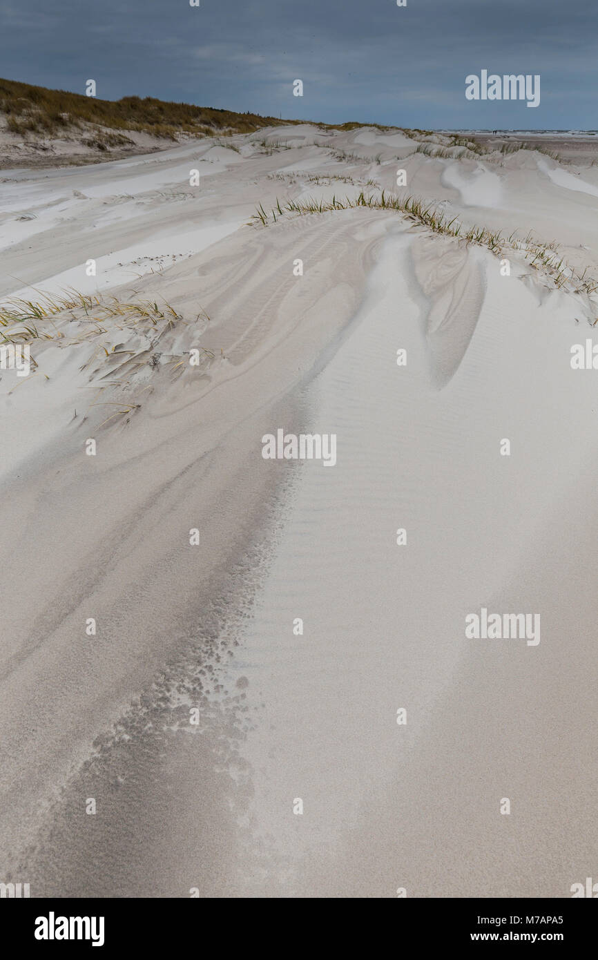 L'Europe, la Pologne, la Poméranie, déplacement des dunes dans le Parc National de Slowinski Banque D'Images