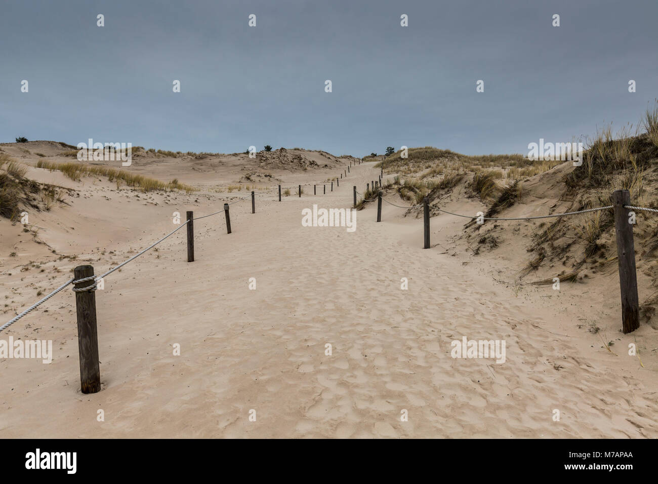 L'Europe, la Pologne, la Poméranie, déplacement des dunes dans le Parc National de Slowinski Banque D'Images