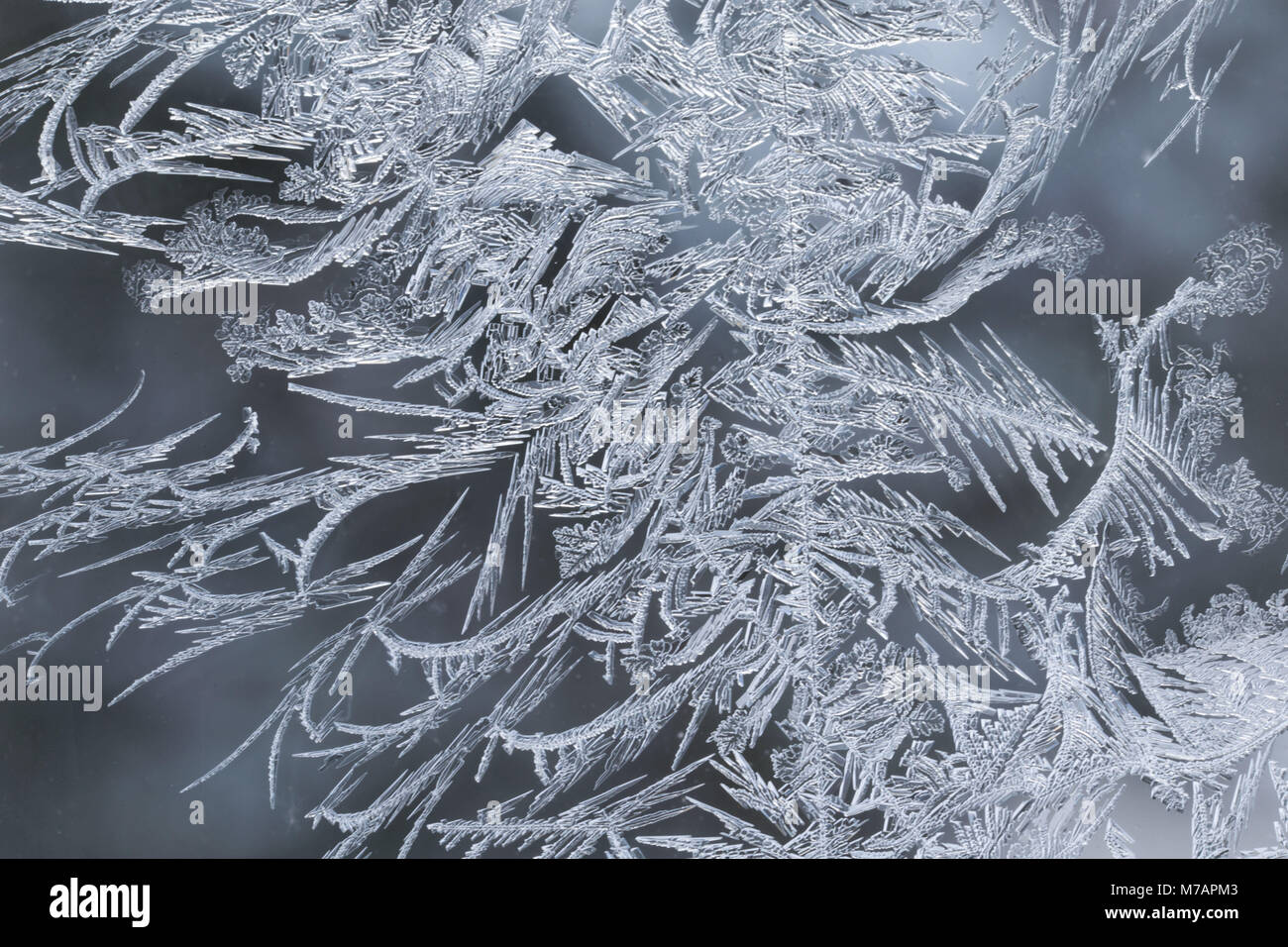 Capture de macro de cristaux de glace dans la fenêtre en verre Banque D'Images