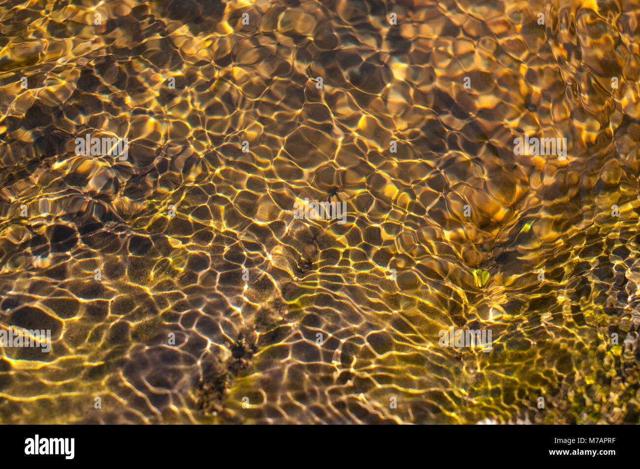 L'eau, la lumière, la réflexion, close-up Banque D'Images