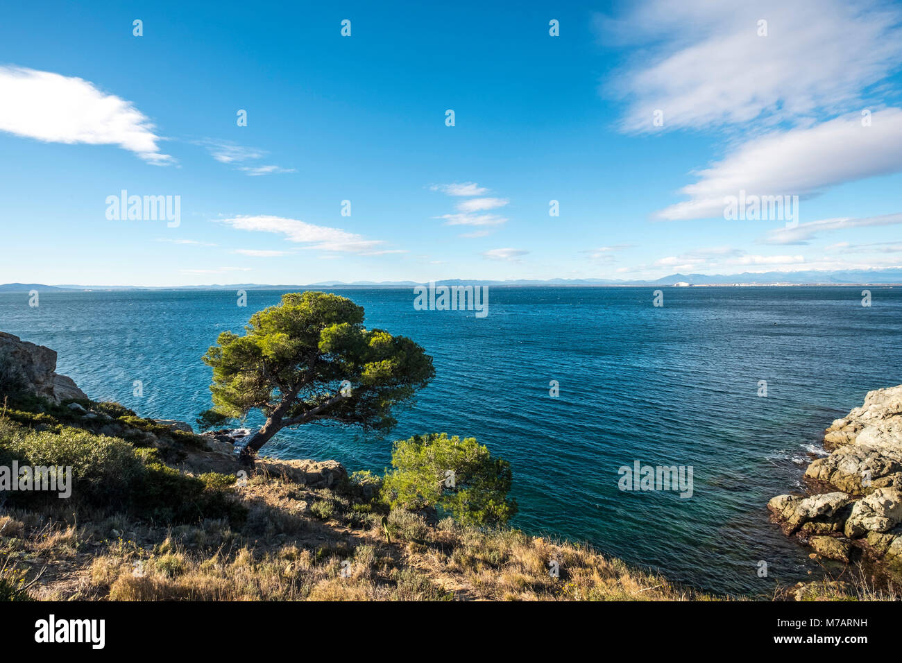 Paysage dans Punta Falconera dans la côte du Cap de Creus à Gérone, au nord de la Catalogne, Espagne Banque D'Images