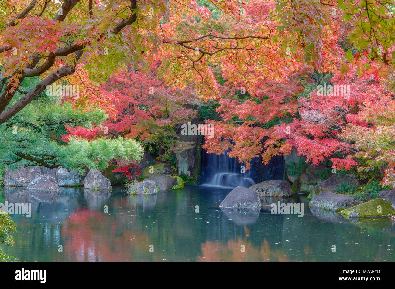 Le Japon, la ville de Himeji, Koko-en Garden Banque D'Images