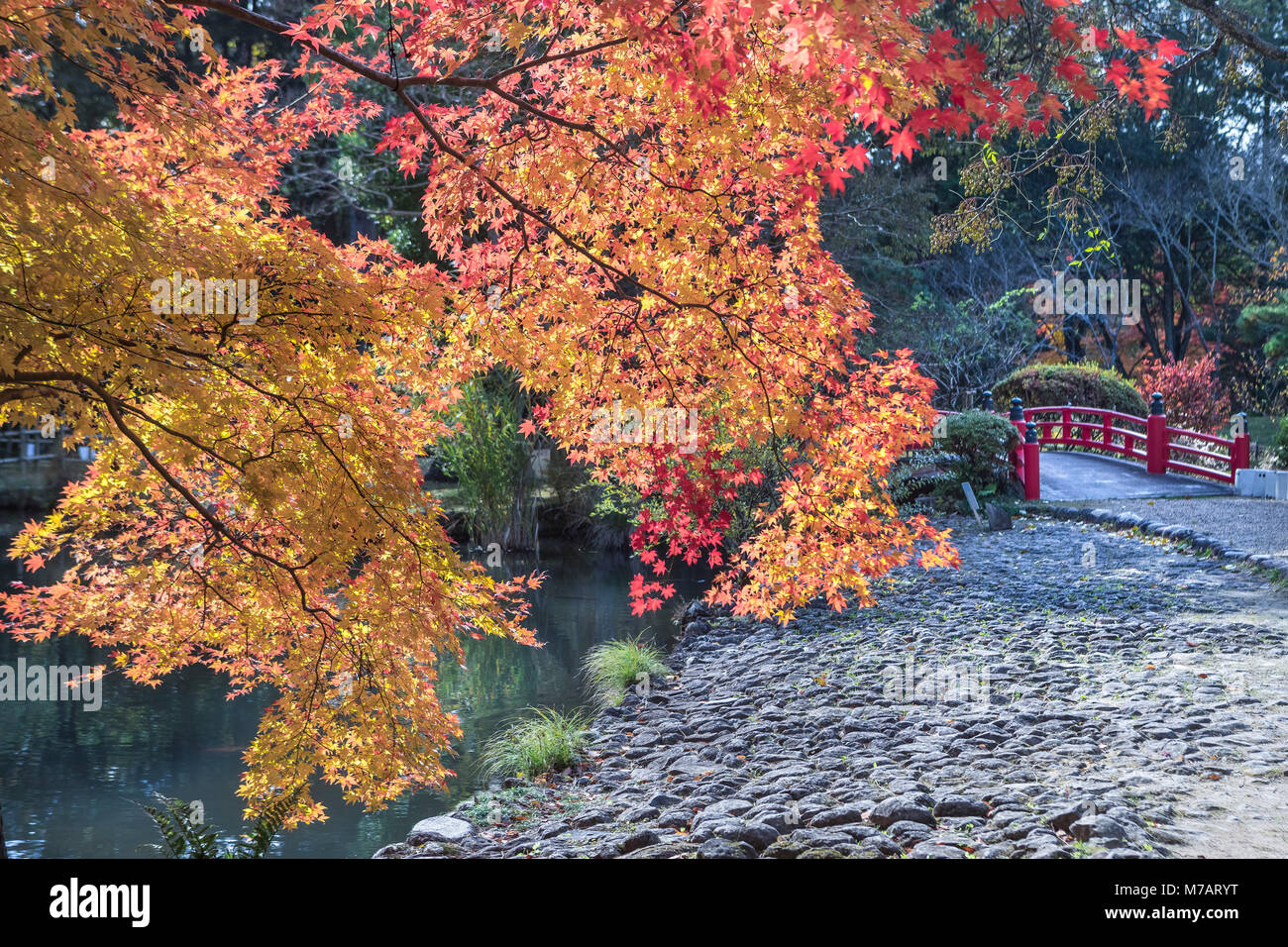 La ville de Nara, Japon, couleurs d'automne Banque D'Images