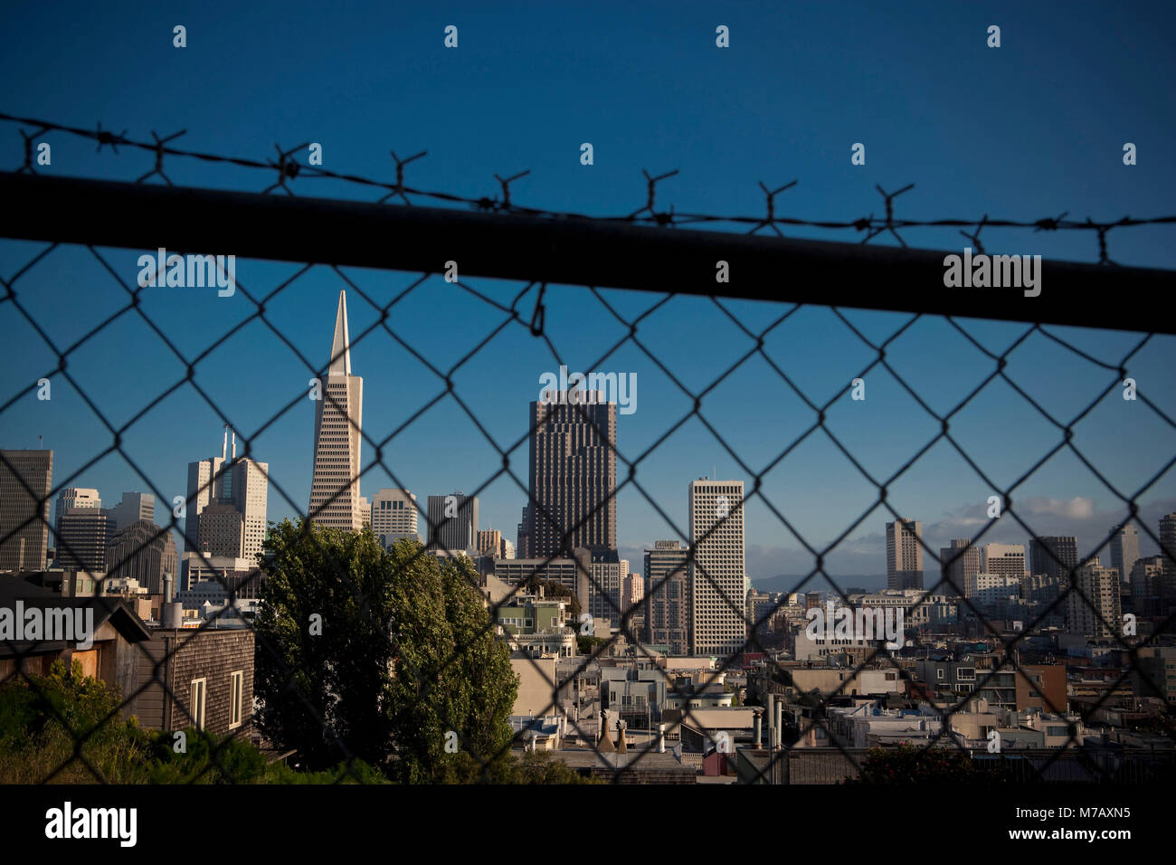 Gratte-ciel dans une ville vue à travers une clôture chainlink, Transamerica Pyramid, San Francisco, Californie, USA Banque D'Images