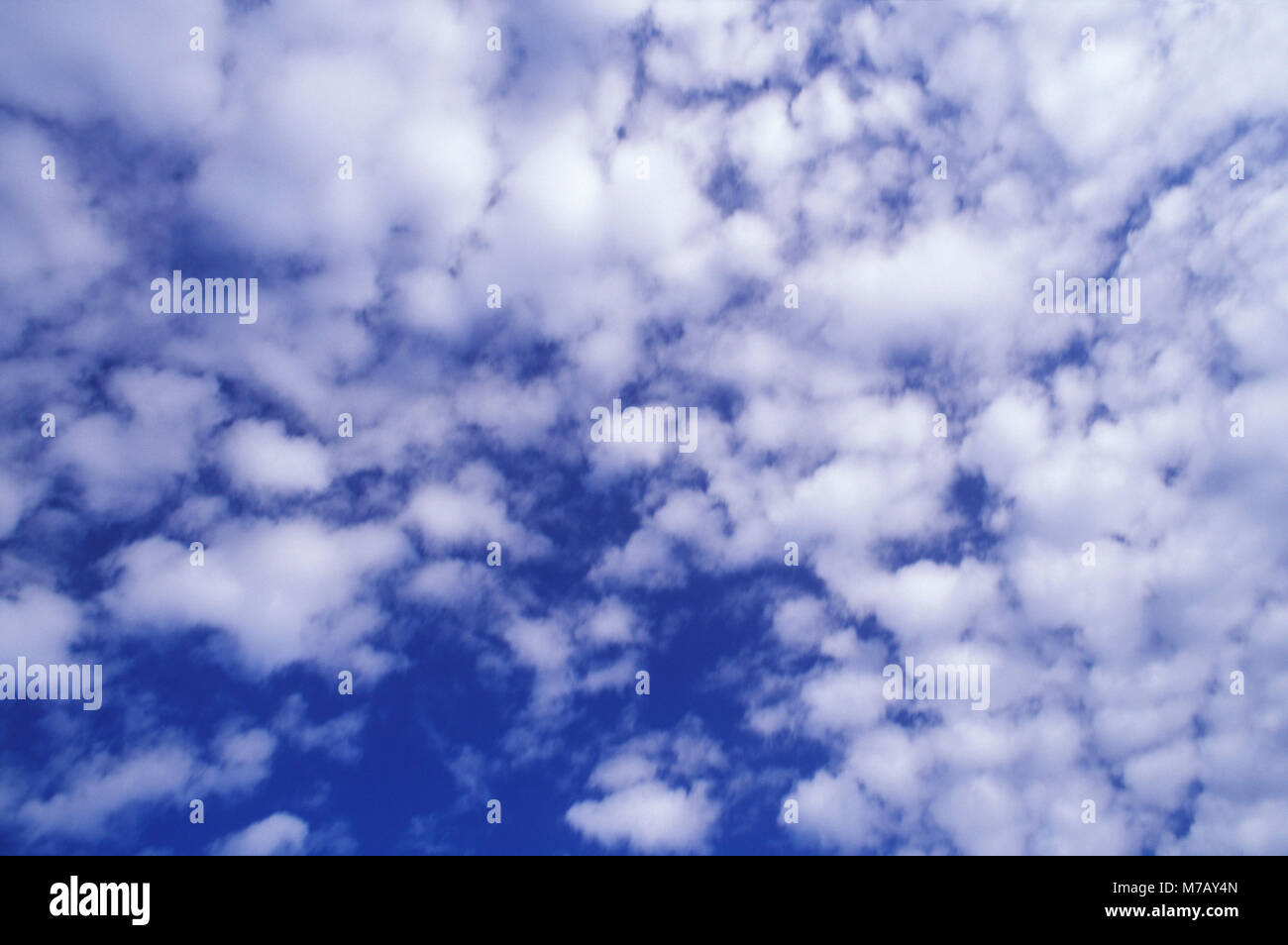 Low angle view de nuages dans le ciel Banque D'Images