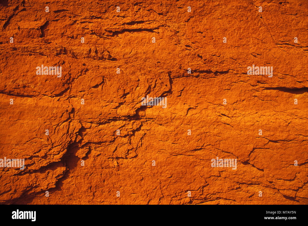 Close-up de la surface d'un rocher Banque D'Images