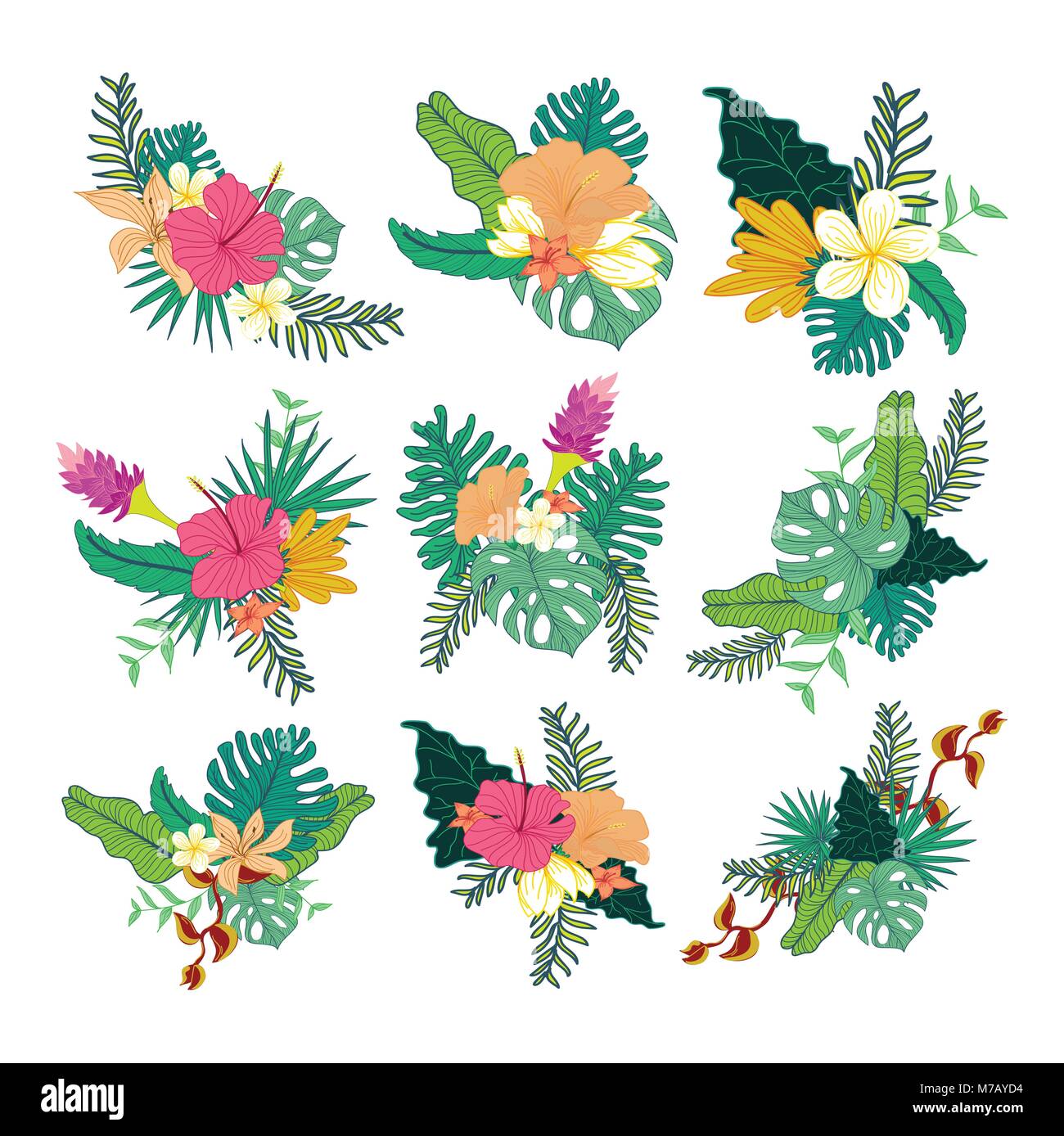 Dessiné à la main divers feuillage tropical Flower Symbole Vecteur Composite Ensemble de Collection Design Graphique Illustration de Vecteur
