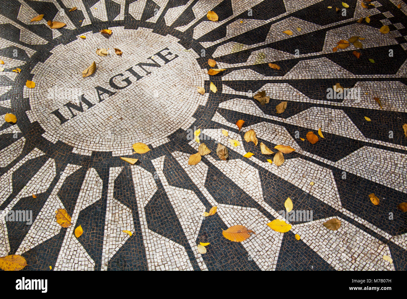 Les feuilles sur le sol, Central Park, Manhattan, New York City, New York State, USA Banque D'Images