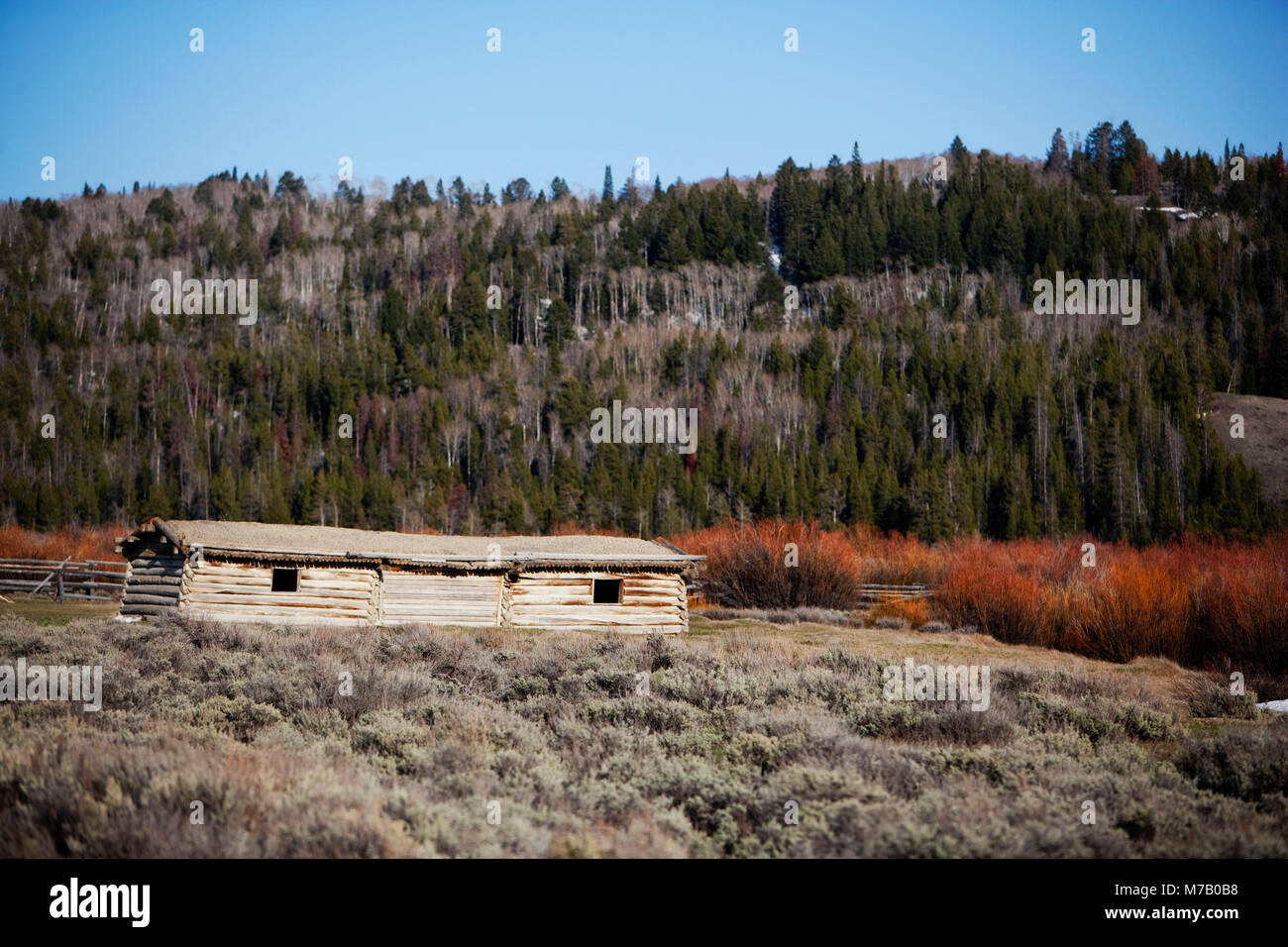 Grange dans un champ avec une chaîne de montagnes en arrière-plan, le Parc National de Yellowstone, Wyoming, USA Banque D'Images