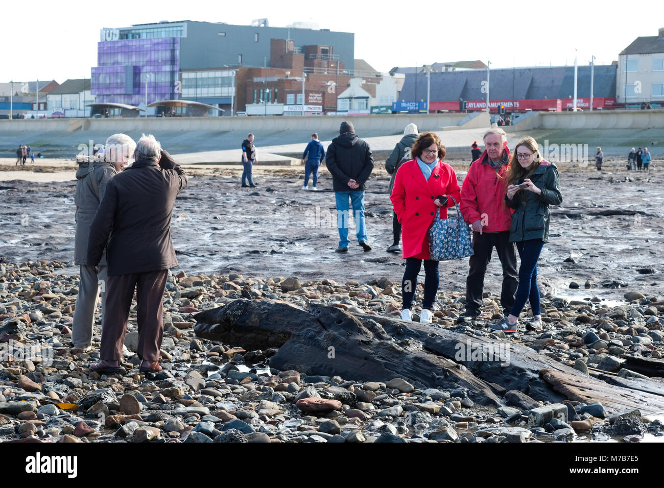 Forêt Pétrifiée préhistoriques découverts sur la plage de Redcar, UK, par la tempête Emma attire des centaines de visiteurs de voir les arbres fossilisés et naufrage avant qu'il soit de nouveau couvert par le sable. 9 mars 2018. Karen Turner/Alamy Live News Banque D'Images