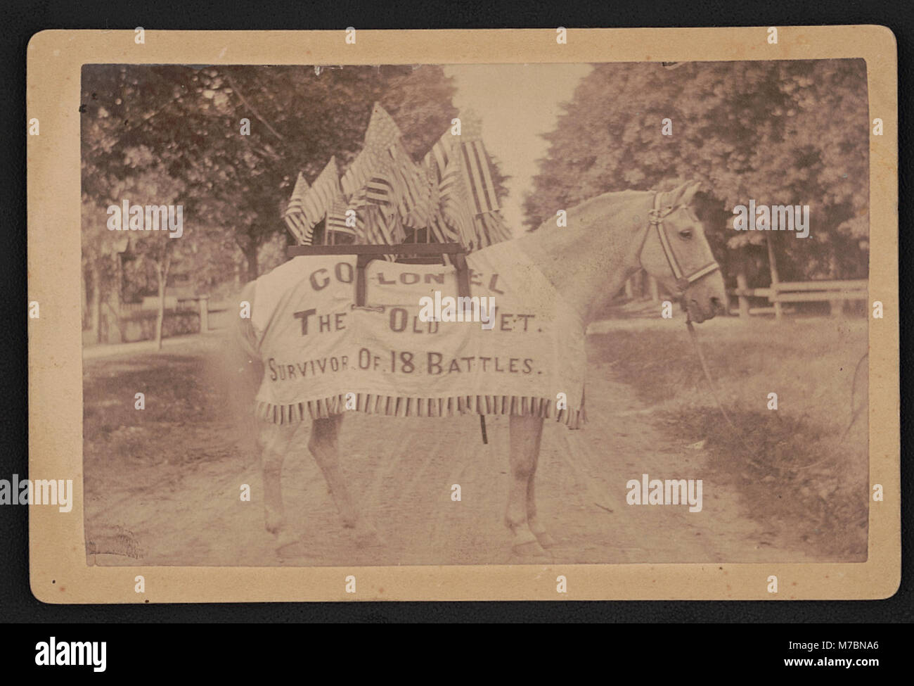 Cette photographie montre un colonel, ancien combattant et survivant de 18 batailles, capturé par le photographe J.A. Rose à Hillsdale, Michigan. Il reflète l'histoire personnelle d'un individu endurci au combat au cours du XIXe siècle ou du début du XXe siècle. Banque D'Images