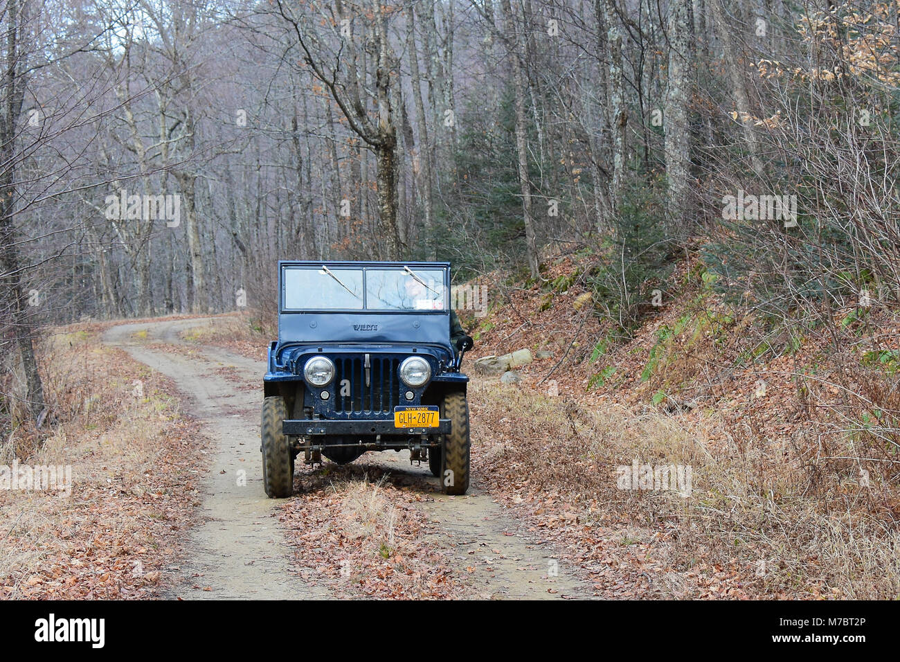 Une Willys Jeep CJ-2A de conduire sur une route de terre forestière dans les Adirondacks, NY USA avec copie espace. Banque D'Images