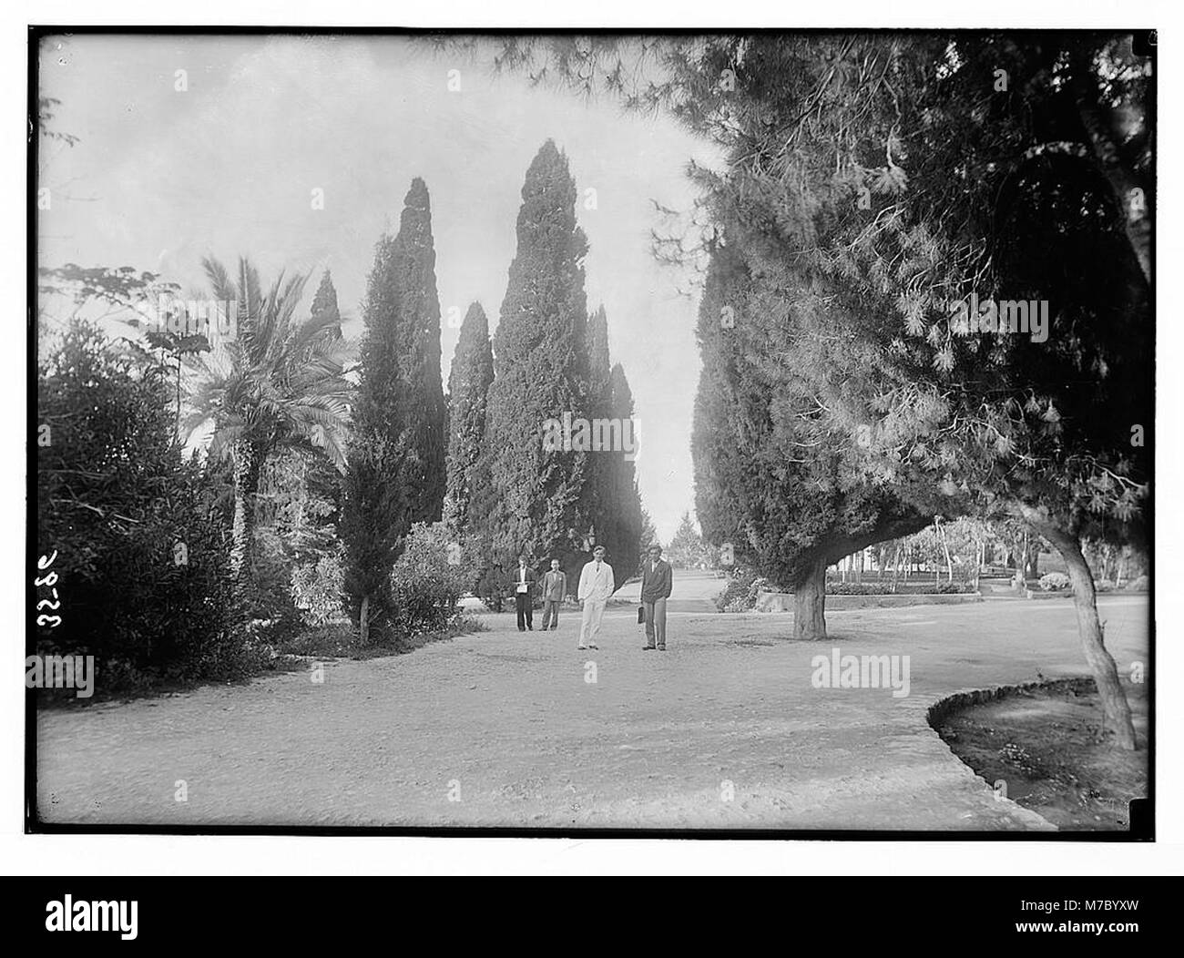 Une photographie montrant les terrains du campus de l'Université américaine de Beyrouth (A.U.B.), avec des cyprès et des palmiers pittoresques. Cette image reflète la beauté naturelle des terrains de l'université. Banque D'Images