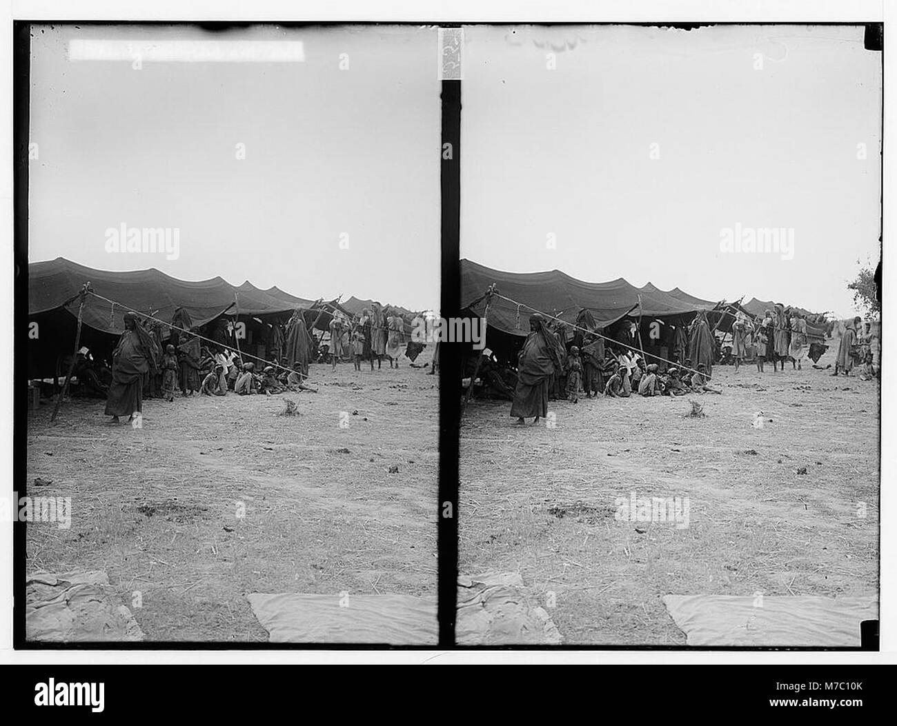 Photographie d'un camp bédouin à Ghor es-Safieh, près de la mer morte, représentant le mode de vie traditionnel et les modes de peuplement des Bédouins dans la région. Banque D'Images