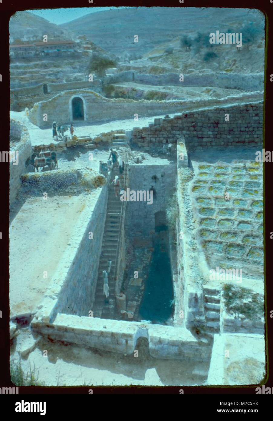 Cette image montre la piscine de Siloam à Jérusalem, un site important dans la Bible, référencé dans Jean 9 :7. C'est un lieu religieux et historique important pour le christianisme et le judaïsme. Banque D'Images
