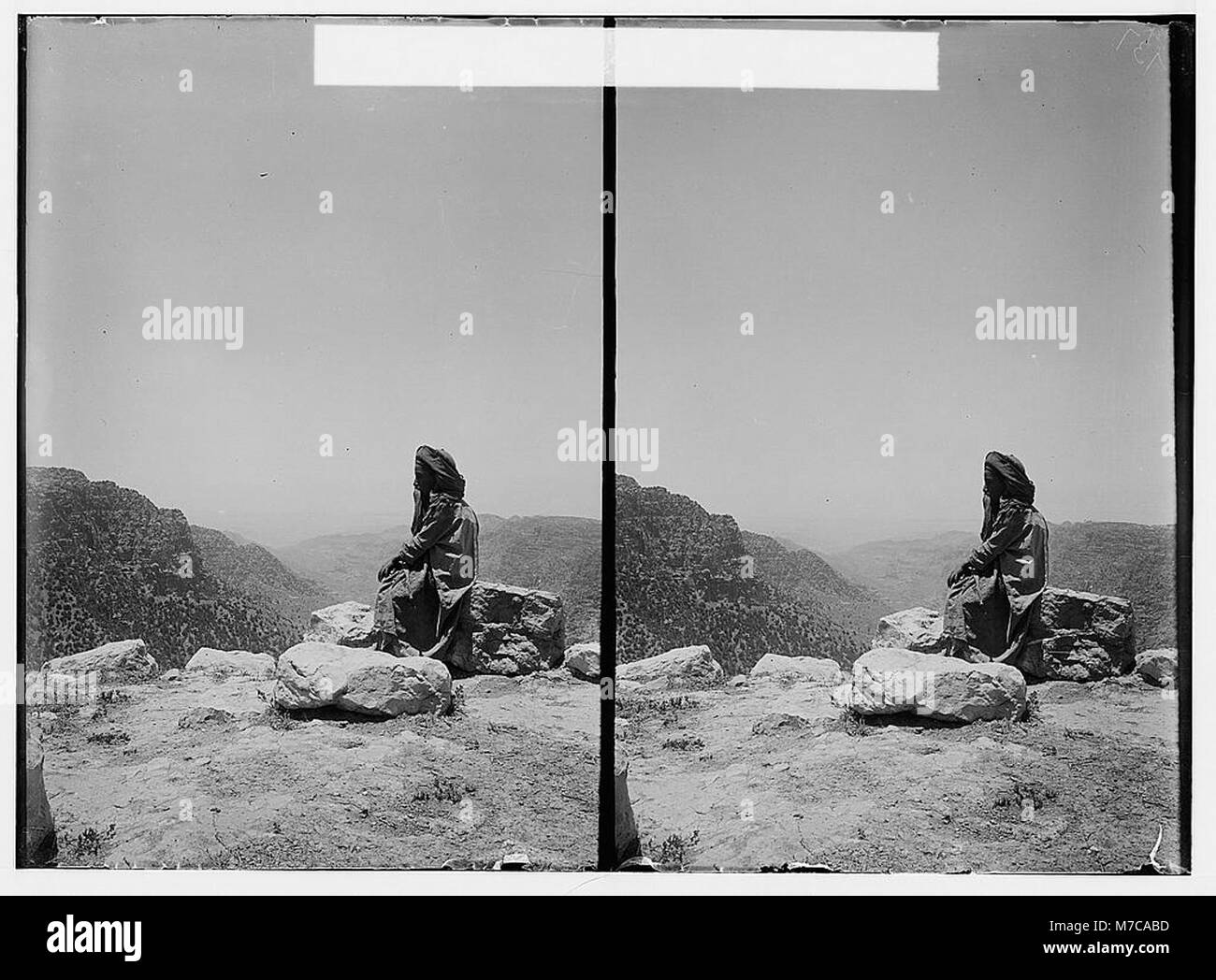 Cette photographie capture la vue panoramique à l'est du Jourdain et de la mer morte depuis la région de Dana, offrant un paysage pittoresque du terrain environnant. La topographie naturelle et les montagnes lointaines sont des caractéristiques clés de cette région. Banque D'Images