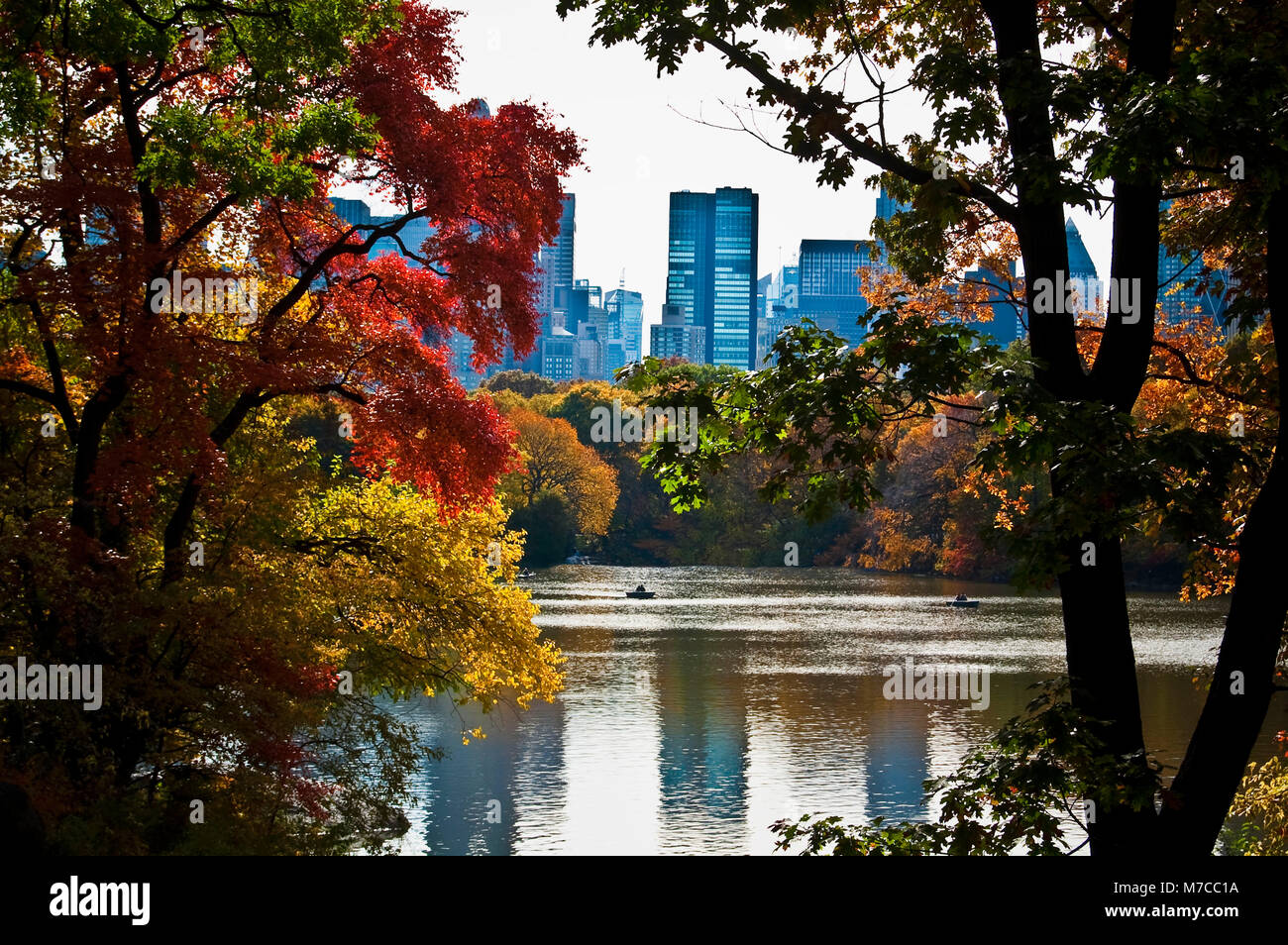 Arbres dans un parc avec des gratte-ciel en arrière-plan, Central Park, Manhattan, New York City, New York State, USA Banque D'Images
