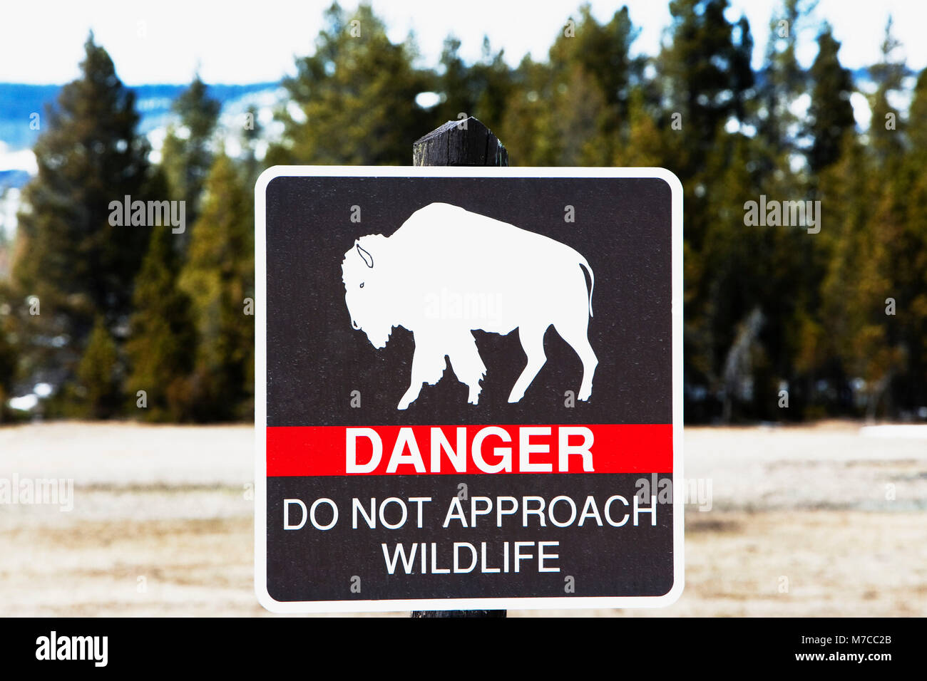 Panneau d'avertissement dans une forêt, parc national de Yellowstone, Wyoming, USA Banque D'Images