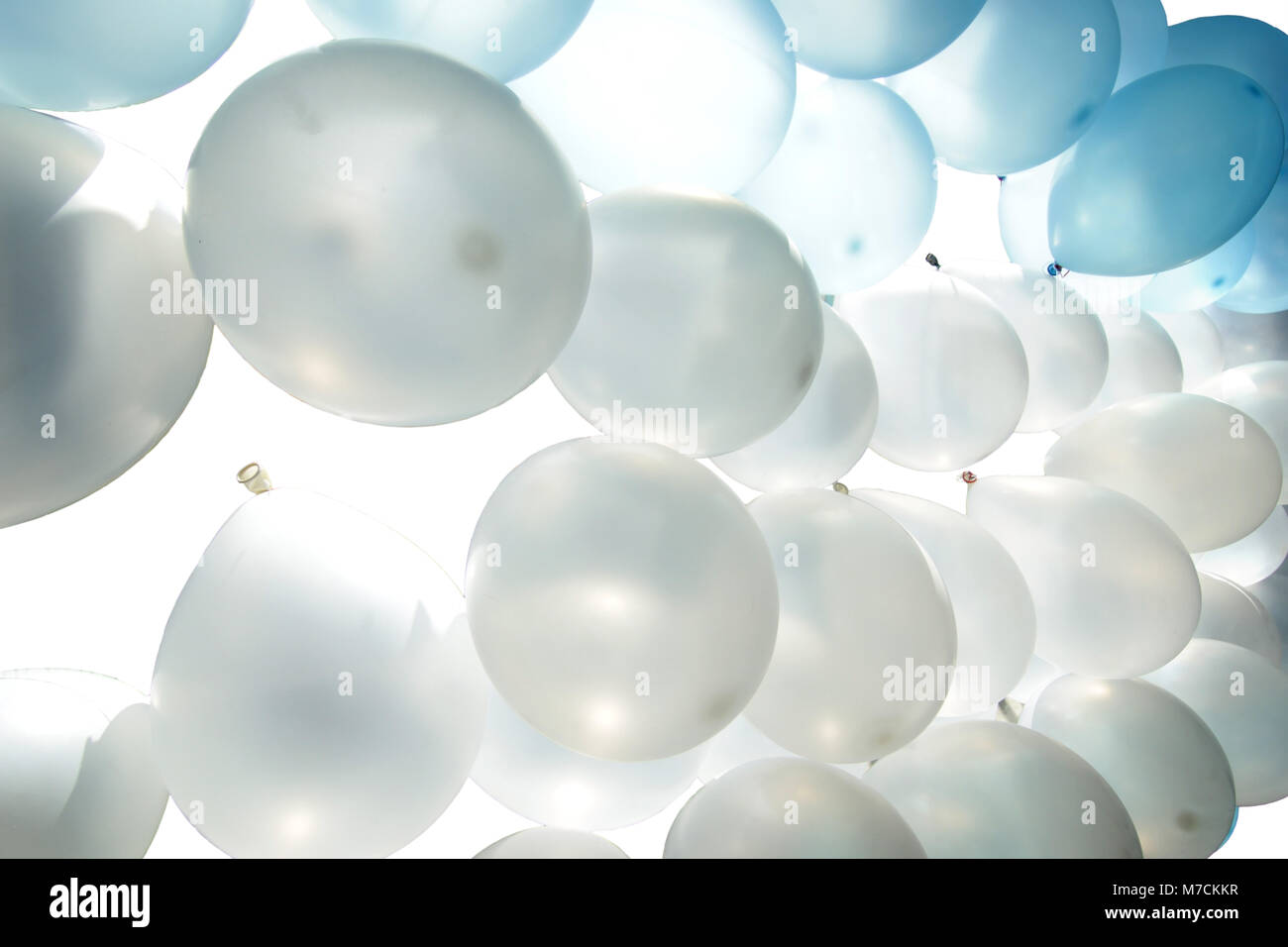 Ballons Bleus Et Blancs De 30,5 Cm En Latex Bleu Clair Et Blanc, Ballons à L'hélium Pour Enfants, Anniversaires, Mariages, Fêtes Prénatales, Baptêmes, Décorations De Fête