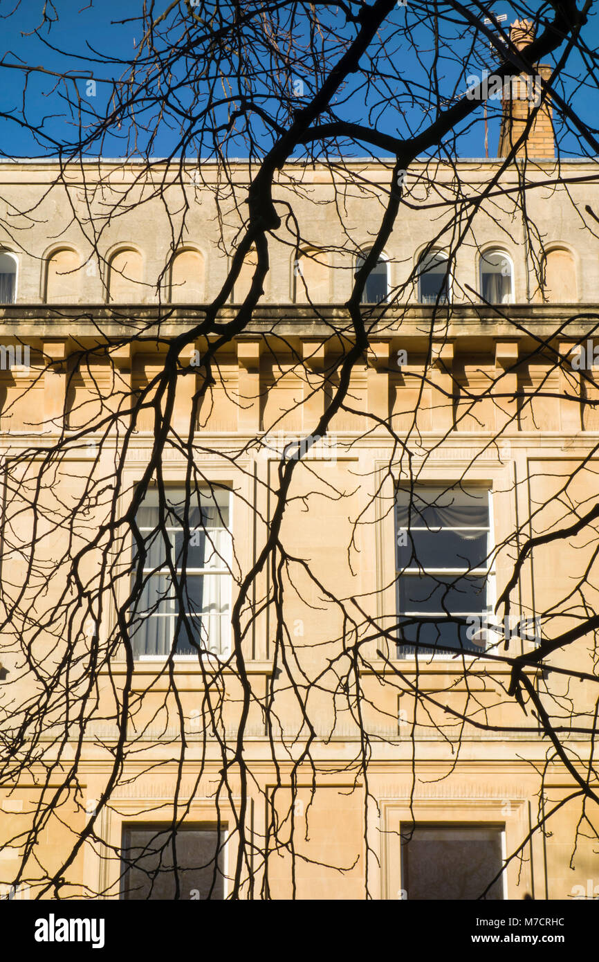 Windows, façade en pierre et les branches des arbres dans la zone de conservation de Clifton, Bristol, Royaume-Uni. Banque D'Images