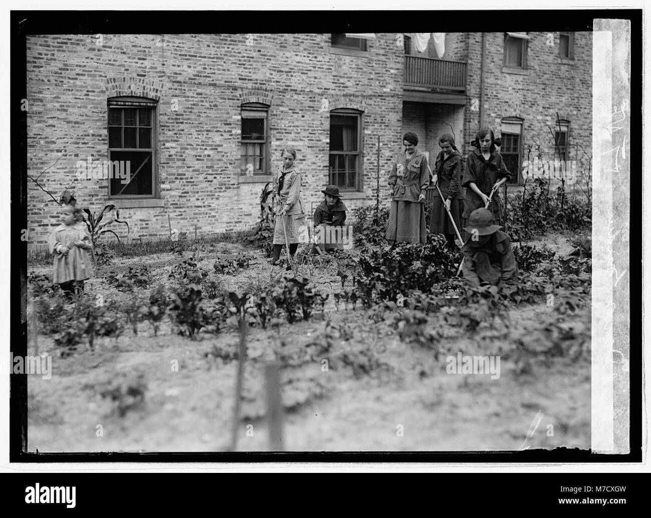 Cette image est liée au jardin Girl Scout du 1 & T équipé N.E. à Washington, DC, supervisé par la Food Administration. Il décrit une importante initiative de jardinage communautaire. Banque D'Images