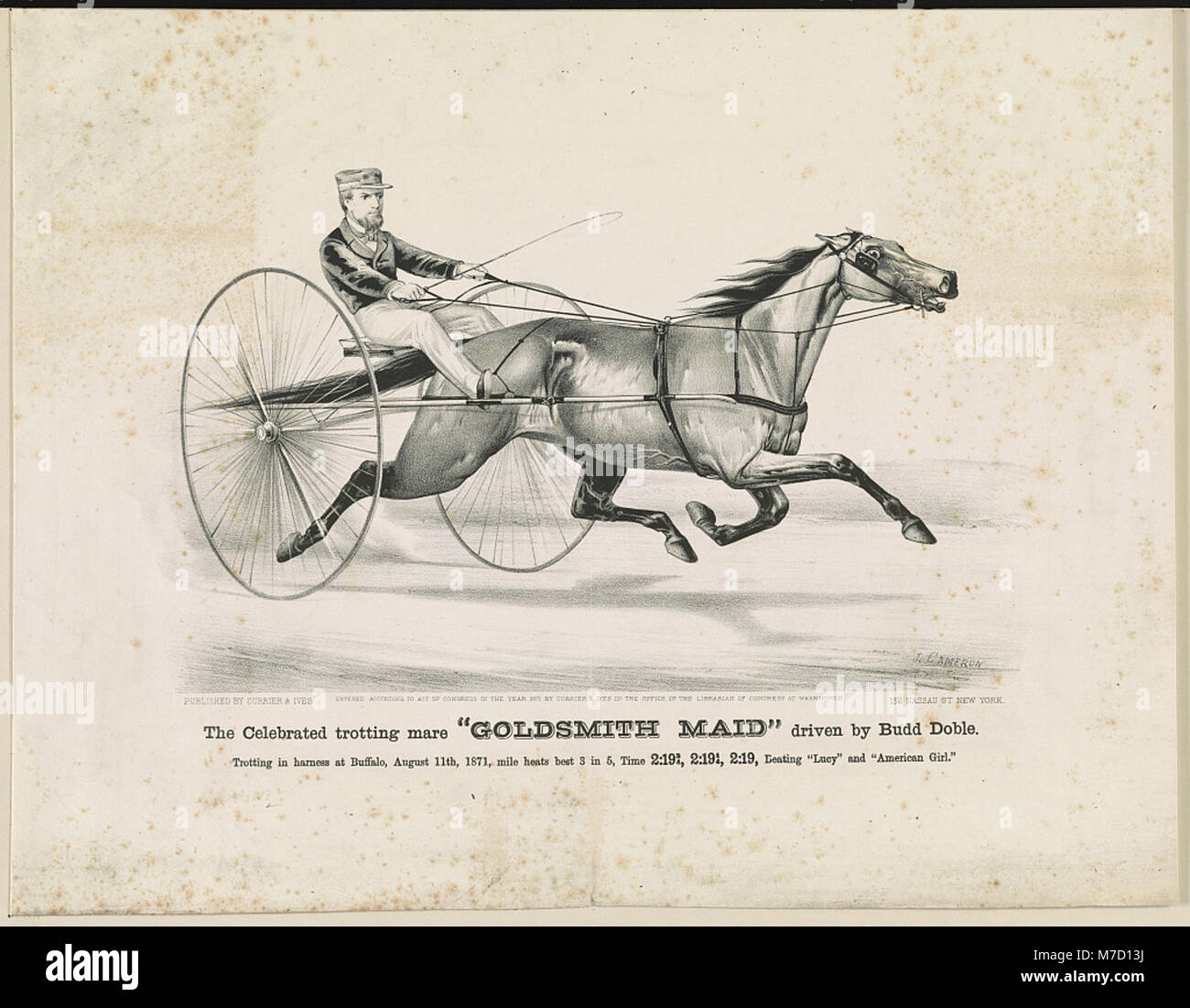 Le célèbre trotting mare 'Goldsmith Maid' conduit par Budd Doble trottant dans le faisceau à Buffalo, Août 11th, 1871, km 3 en 5 chauffe meilleur temps 2-19, 3-4, 2-19, 2-19, 1-4 coups "Lucy" RCAC90715601 Banque D'Images