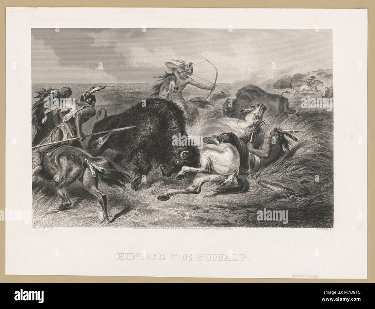 Cette photographie représente des chasseurs en chasse au bison. La scène capture la pratique historique de la chasse au bison, importante à la fois pour les cultures amérindiennes et les premiers colons américains. Banque D'Images