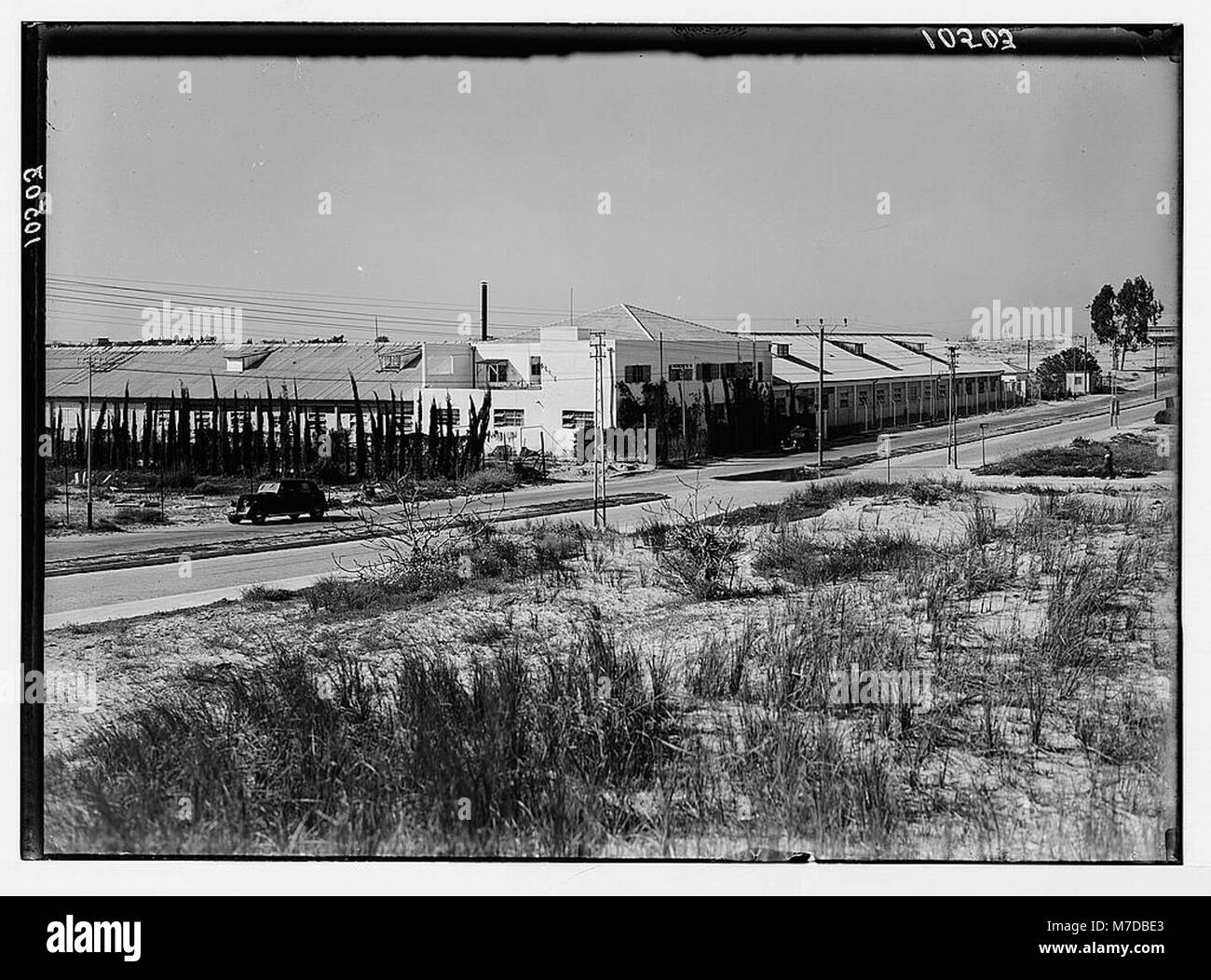 Les usines de juifs en Palestine sur la plaine de Sharon et le long de la côte de Haïfa. L'Lodzia Textile Co. à Holon settlement (sens sandy). Vue plus rapprochée de la LOC en usine.04300 matpc Banque D'Images