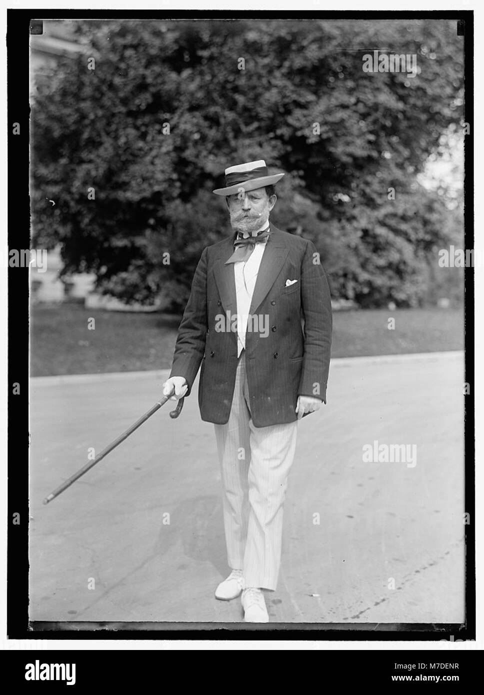 Une photographie historique de James Hamilton Lewis, un éminent personnage politique américain connu pour son influence dans la politique du début du XXe siècle. Banque D'Images